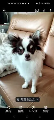 ☆こうりん☆の画像