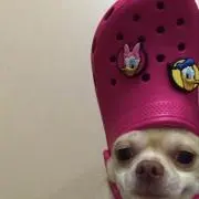 伊藤潤二