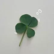 .ᐟ.ᐟの画像