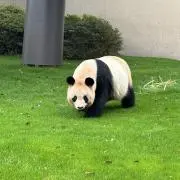 さささの画像