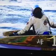 隼の画像