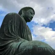 abpnl66582の画像