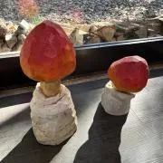 しなぷしゅの画像