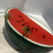 海の画像