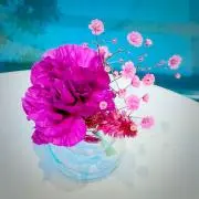 こうめの画像