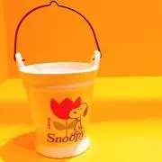 ちゃの画像