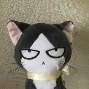 あーる（商品説明をしっかりお読みくださいの画像