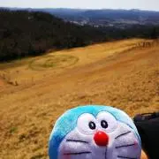 れんこんの画像
