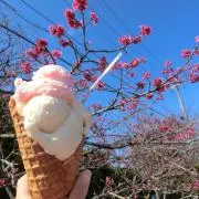 ✩よな✩
