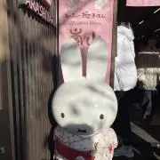 ゆかぽんの画像