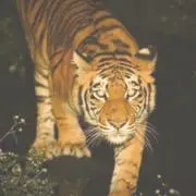 kanamaruの画像