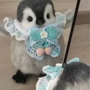 ハニーの画像