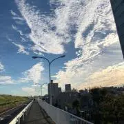 MSO