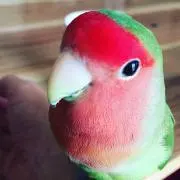 あーちゃん