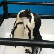 TAKAママ
