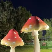 RADの画像