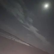 ゆの画像