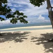 dの画像