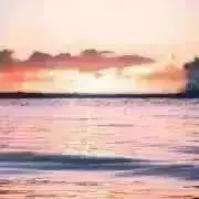 MIYAVIの画像