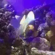NaNaLaの画像