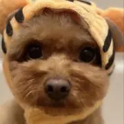 さかもとの画像