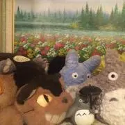 ねこバス（╹◡╹）