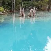 たくや