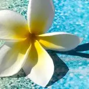 Aloooha☆ プロフ必読願います