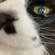 *☻*の画像