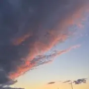 まーちゃんの画像