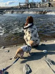 こりたんの画像