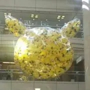 むぎちゃの画像