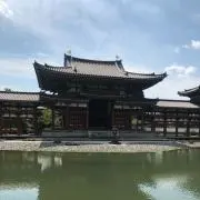 Y