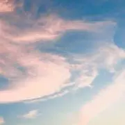 yの画像