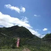 ストリートスニーカー