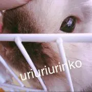 uriuriurinkoの画像