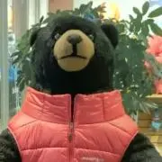 ひできちの画像
