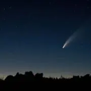 Burico