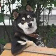 なむ