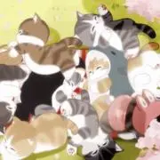 彩の画像