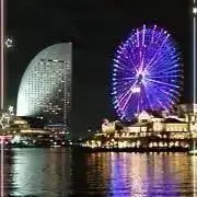 ヤシの木☆の画像