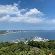 wtbの画像