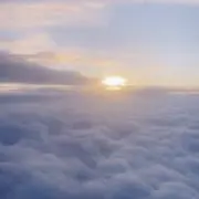 24thの画像