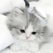 にか