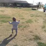 ささの画像
