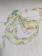 ぽよの画像
