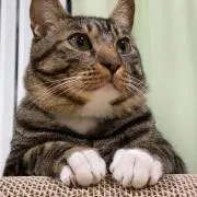ゆうあ