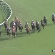 ずるなし！梱包・開梱動画撮ってます
