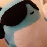 がんがにの画像