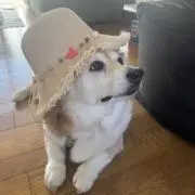 がんちゃん⭐️